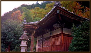 天福寺本堂写真