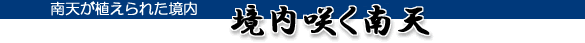 南天寺